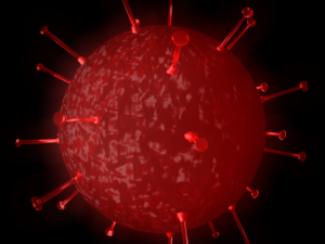 corona virus Model 3D