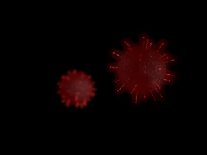 corona virus 3D Model