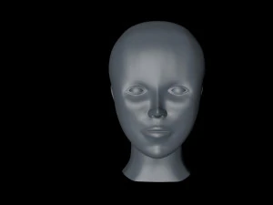 सिर 3D मॉडल