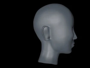 head 3D Model