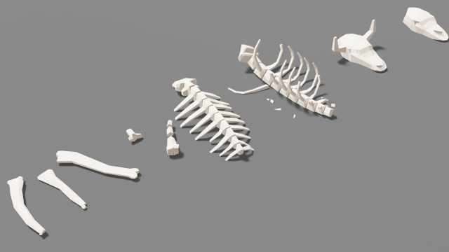 animal skeleton lowpoly low-poly Model 3D .c4d .max .obj .3ds .fbx .stl .blend