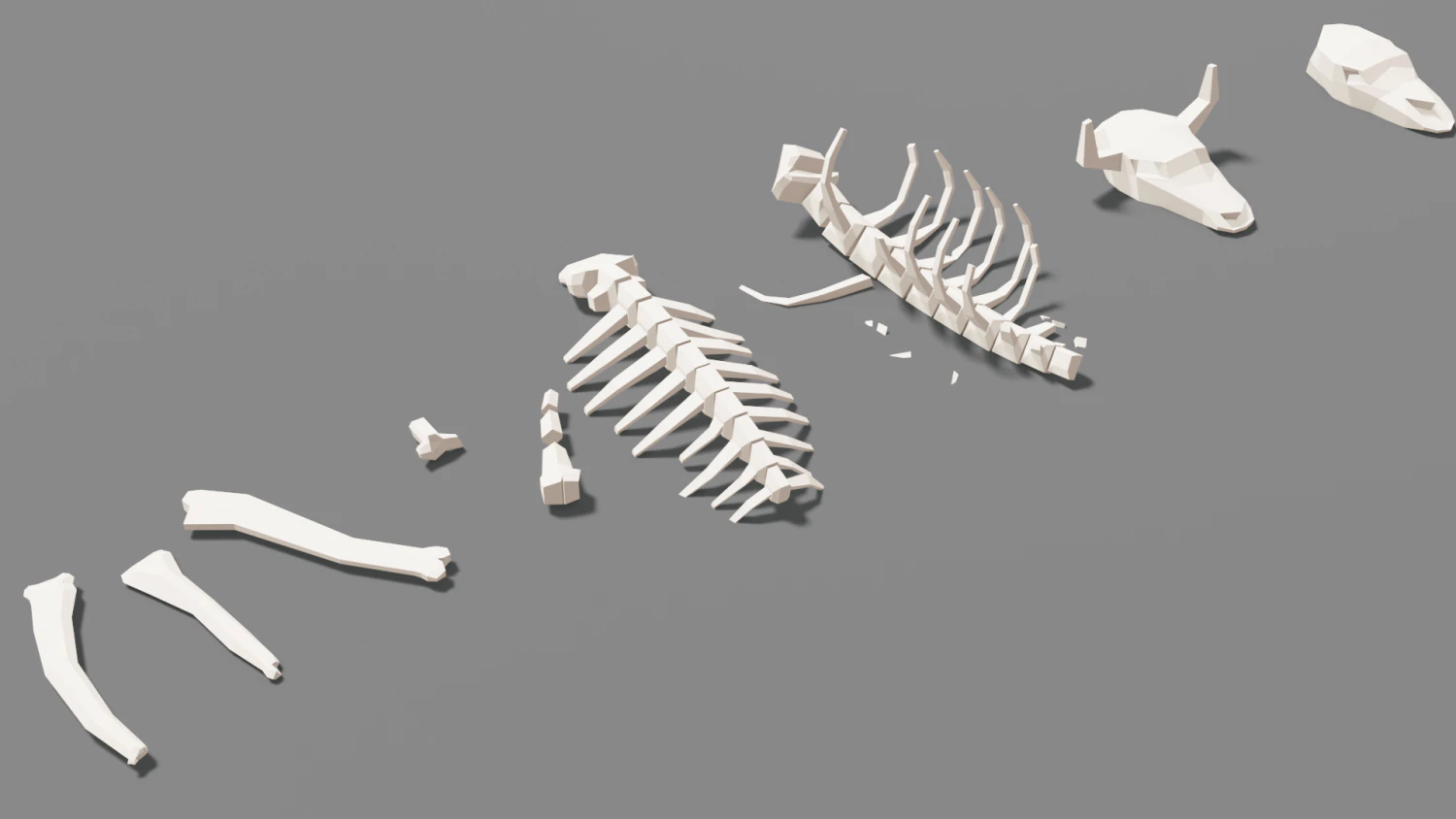animal skeleton lowpoly low-poly 3D Model .c4d .max .obj .3ds .fbx .stl .blend