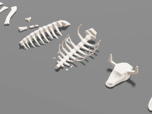 animal skeleton lowpoly low-poly 3D Model