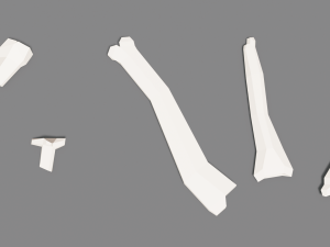 animal skeleton lowpoly low-poly Model 3D