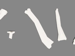 animal skeleton lowpoly low-poly 3D Model