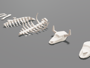 animal skeleton lowpoly low-poly Model 3D
