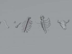 animal skeleton lowpoly low-poly Model 3D