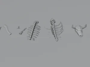 animal skeleton lowpoly low-poly 3D Model