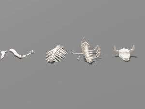 animal skeleton lowpoly low-poly 3D Model