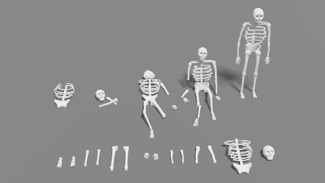 skeleton human lowpoly pack low-poly Modelo 3D .c4d .max .obj .3ds .fbx .stl .blend