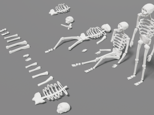 skeleton human lowpoly pack low-poly Modelo 3D