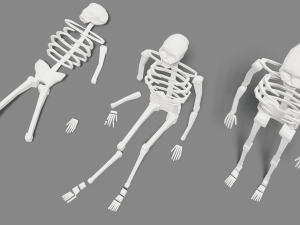 skeleton human lowpoly pack low-poly Modelo 3D