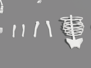 skeleton human lowpoly pack low-poly Modelo 3D