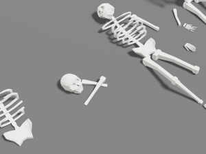 skeleton human lowpoly pack low-poly Modelo 3D