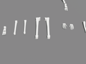 skeleton human lowpoly pack low-poly Modelo 3D