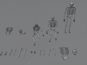 skeleton human lowpoly pack low-poly Modelo 3D