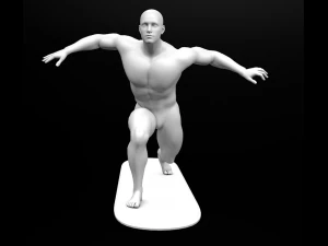 silver surfer rigged low poly 3D Model