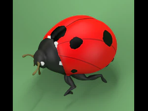joaninha coccinellidae lowpoly Modelo 3D