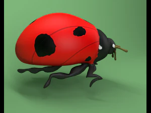 ladybug coccinellidae lowpoly 3D Model