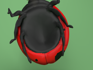 ladybug coccinellidae lowpoly 3D 모델