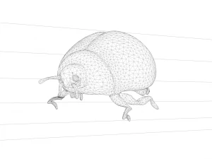ladybug coccinellidae lowpoly 3D Model