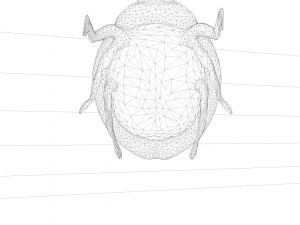 ladybug coccinellidae lowpoly 3D 모델