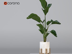 vase 01 3Dモデル