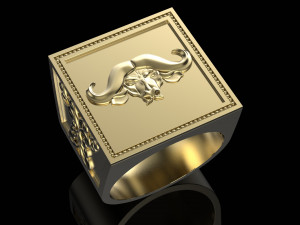 ring with buffalo 3D Print Model