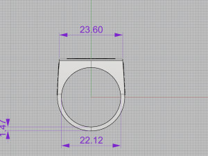 ring with buffalo Modelo de Impressão 3D