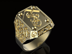 ring with sign Modello di stampa 3D