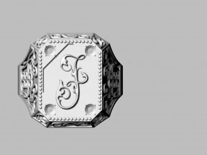 ring with sign 3D Print Model