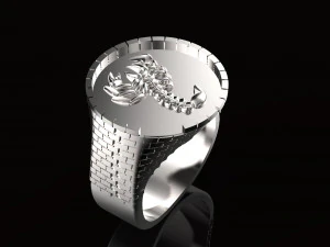 ring with brick wall 3D Print Model