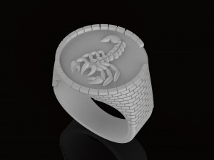 ring with brick wall 3Dプリントモデル