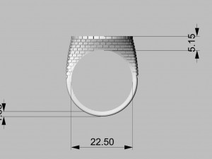 ring with brick wall 3Dプリントモデル