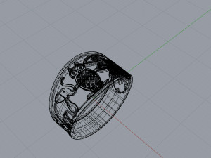 ring of luck Modelo de Impressão 3D