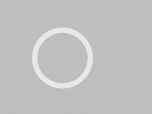 결혼 반지 3D 프린트 모델