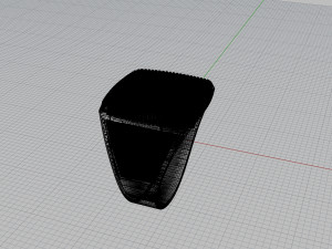 signet ring with lion 3Dプリントモデル