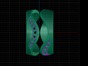 bicolor ring with gems 3d print model stl 3dm obj Modello di stampa 3D