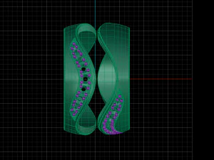 bicolor ring with gems 3d print model stl 3dm obj 3D Print Model