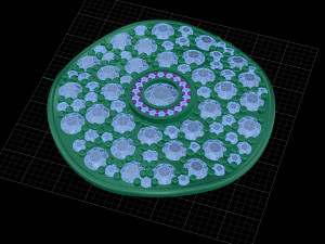 earring with gems 3d print model stl 3dm obj Modelo de impresión 3D
