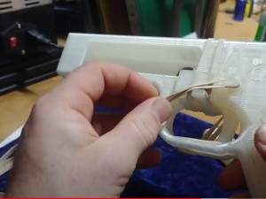 songbird 3D 模型