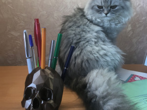 lowpoly skull penholder Model Cetak 3D
