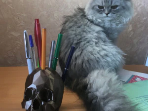 lowpoly skull penholder 3D Print Model