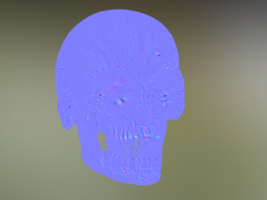 human skull 3D मॉडल