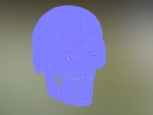 human skull 3D Model