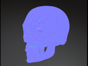 human skull 3D मॉडल
