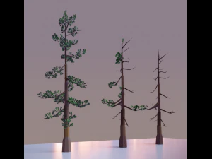 old pine tree low poly 3D Model