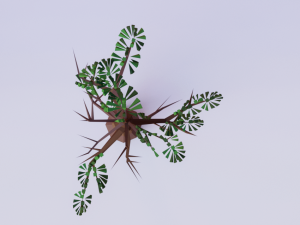 old pine tree low poly 3D मॉडल