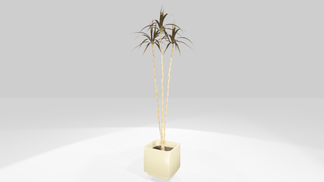 plant in the pot Model 3D .c4d .max .obj .3ds .fbx .stl .blend 