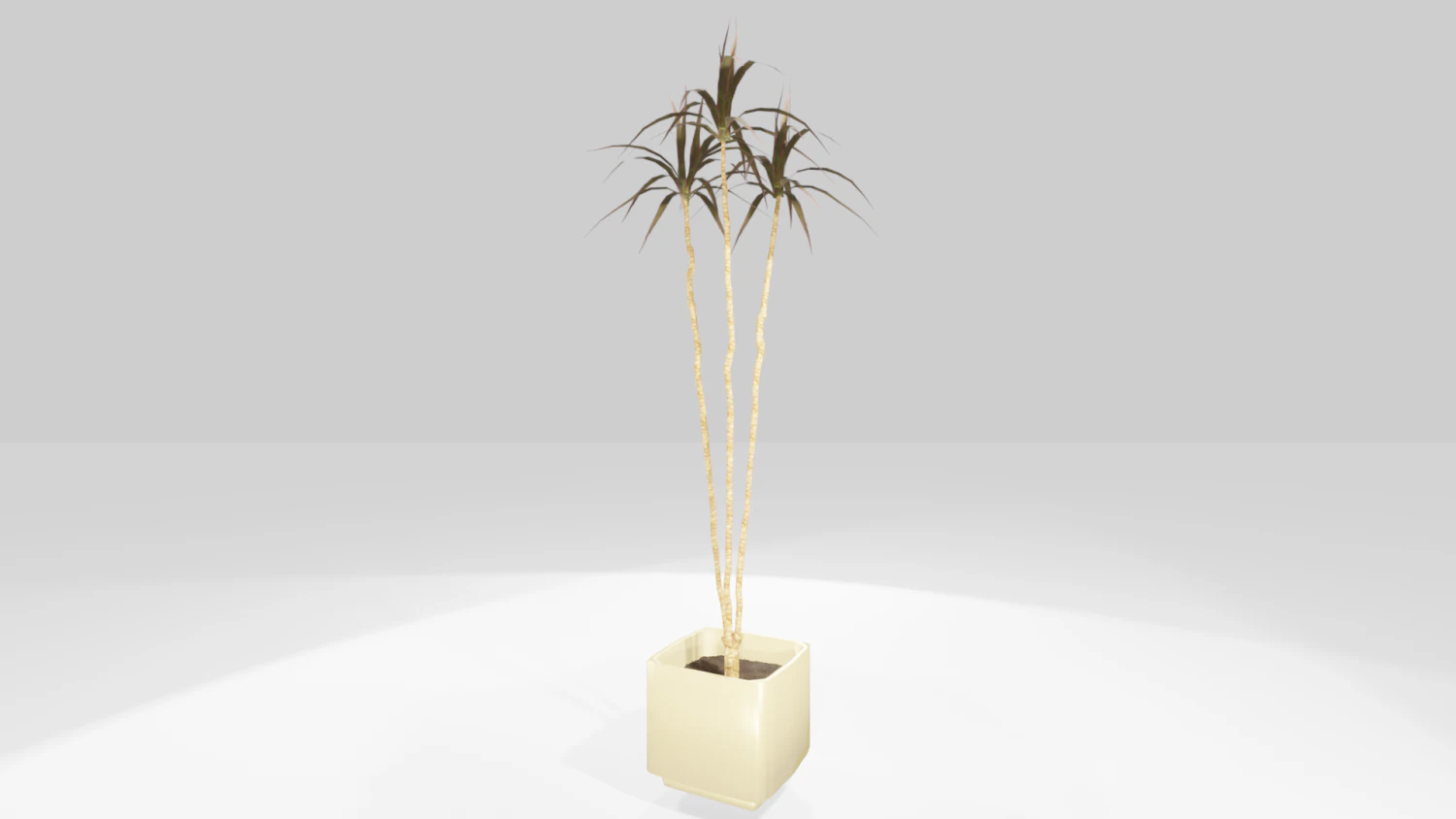 plant in the pot 3D Model .c4d .max .obj .3ds .fbx .stl .blend 